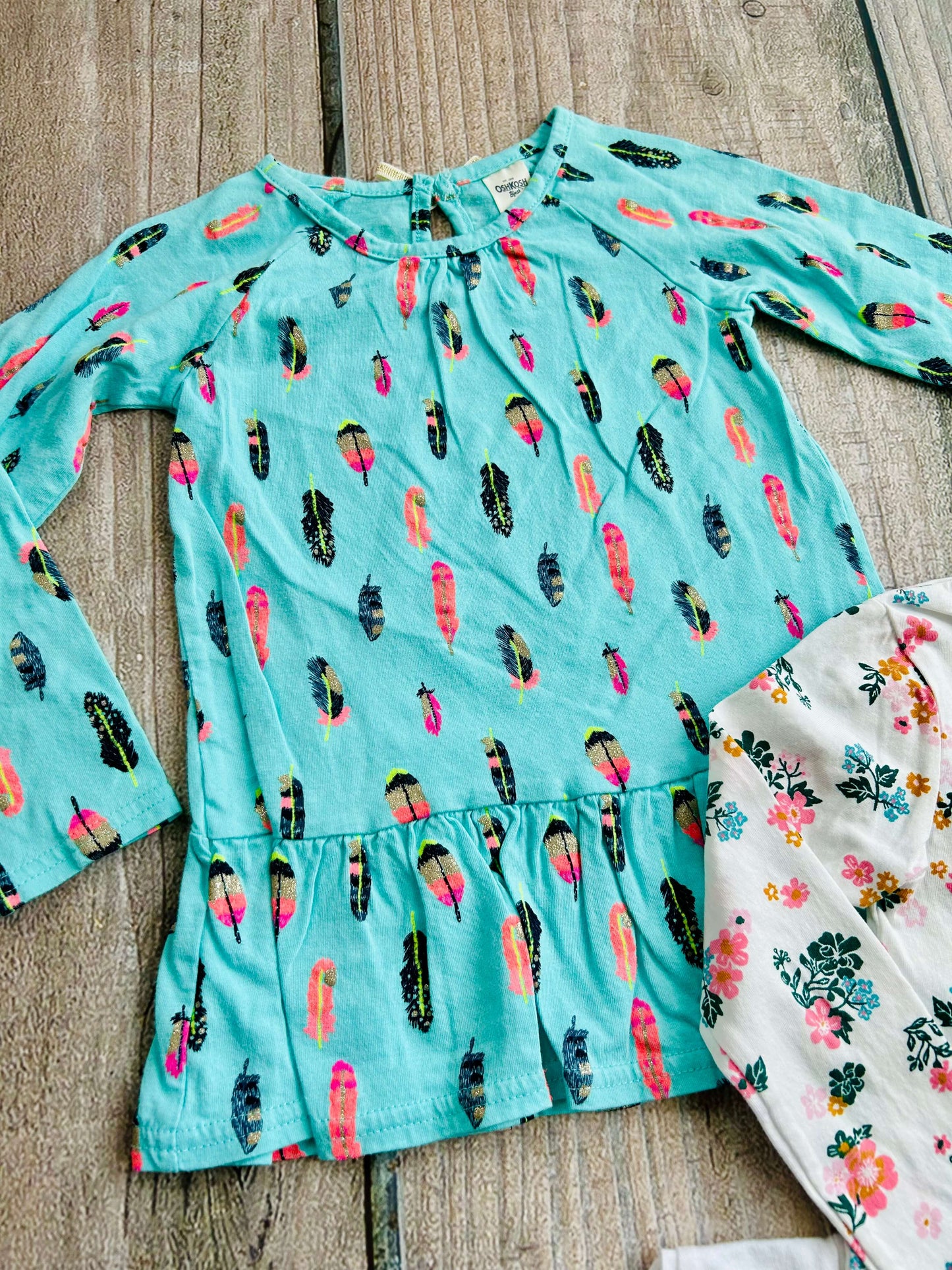 H&M size 2-4yrs and Osh Kosh size 2T girls bundle of 3 tops, bunnies, floral Disney Marie, feathers, Kids 2T