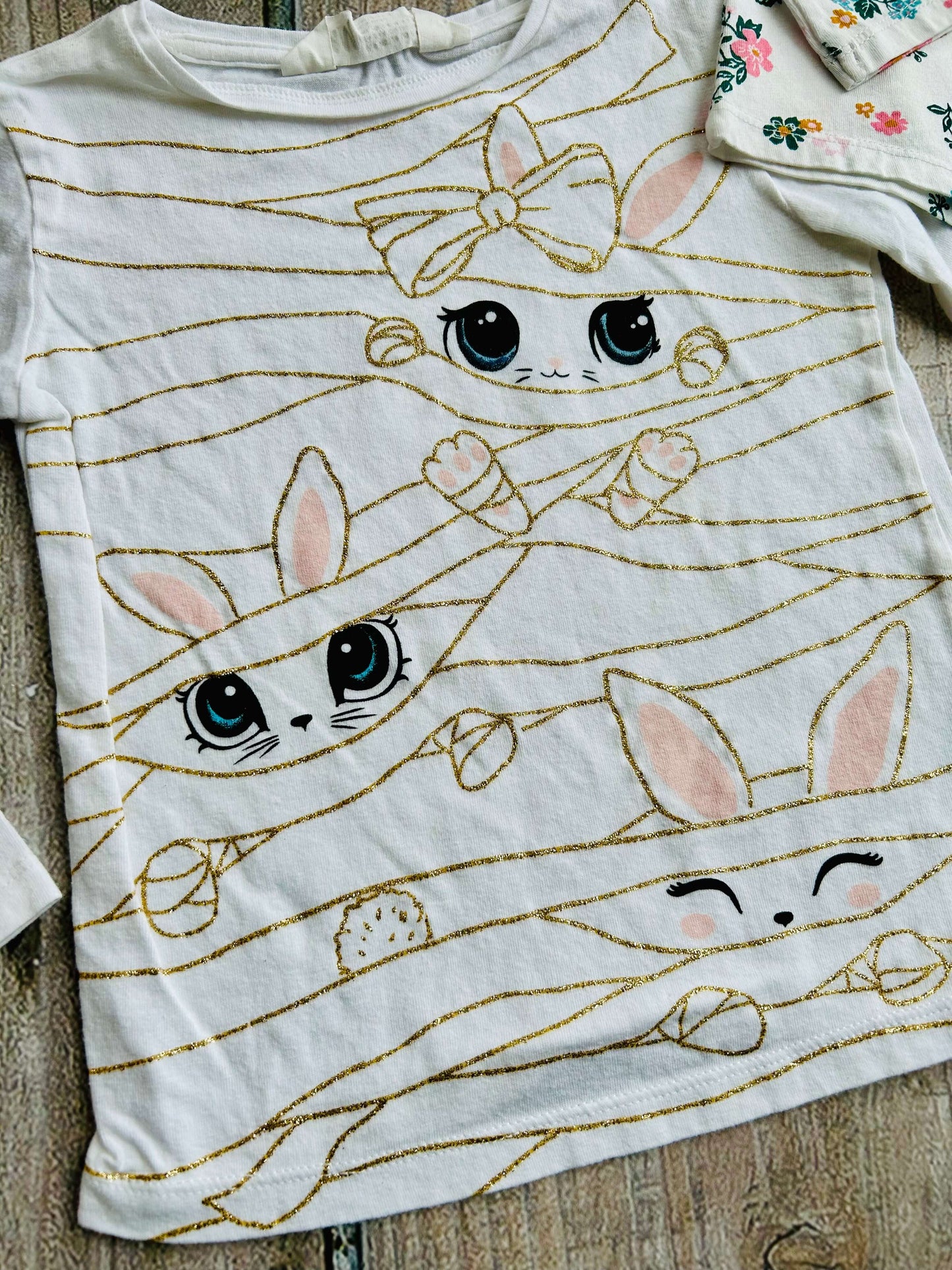 H&M size 2-4yrs and Osh Kosh size 2T girls bundle of 3 tops, bunnies, floral Disney Marie, feathers, Kids 2T