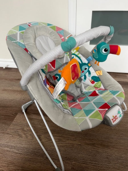 Bright Starts Bouncer Chair