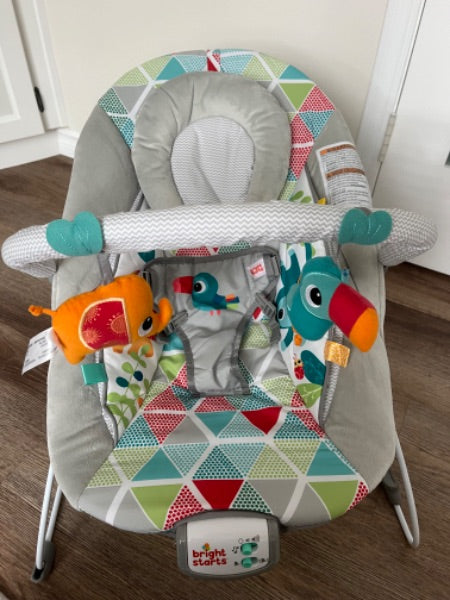 Bright Starts Bouncer Chair