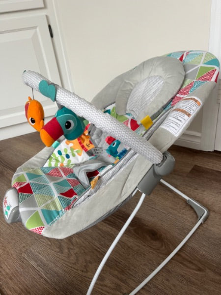 Bright Starts Bouncer Chair