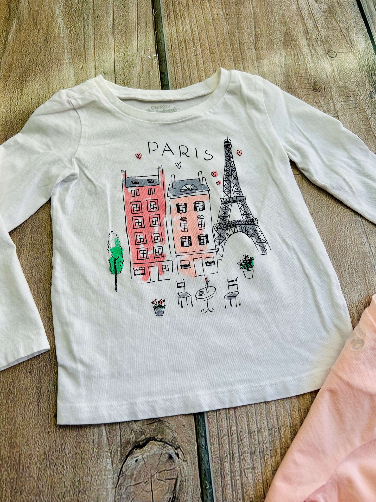Osh Kosh Carter’s size 3T girls bundle of 3 tops, Paris, smart cookie, swan, Kids 3T