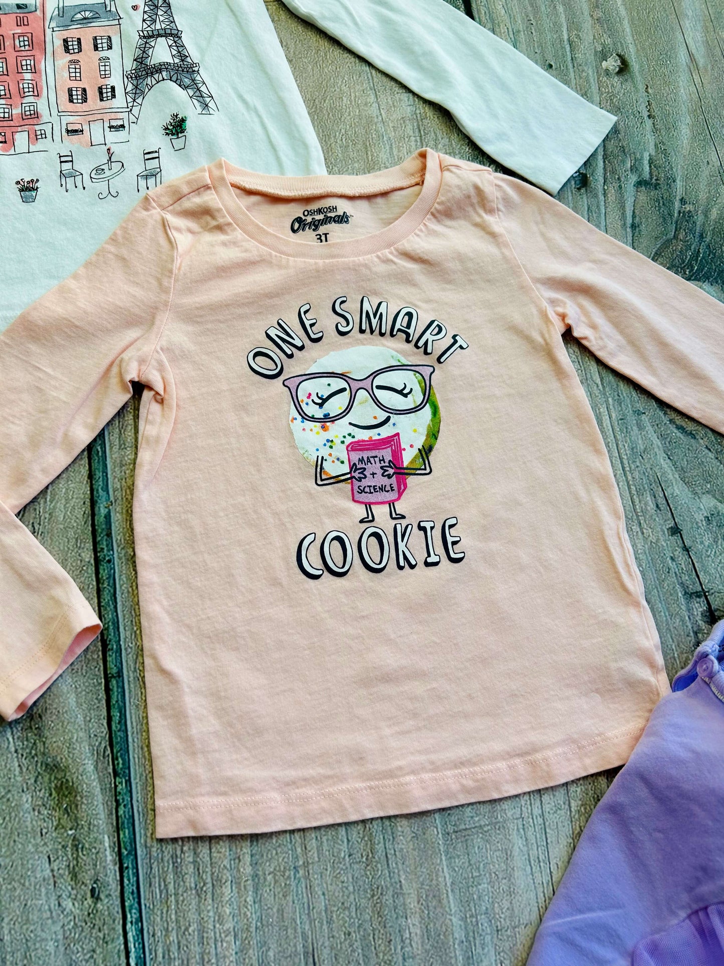 Osh Kosh Carter’s size 3T girls bundle of 3 tops, Paris, smart cookie, swan, Kids 3T