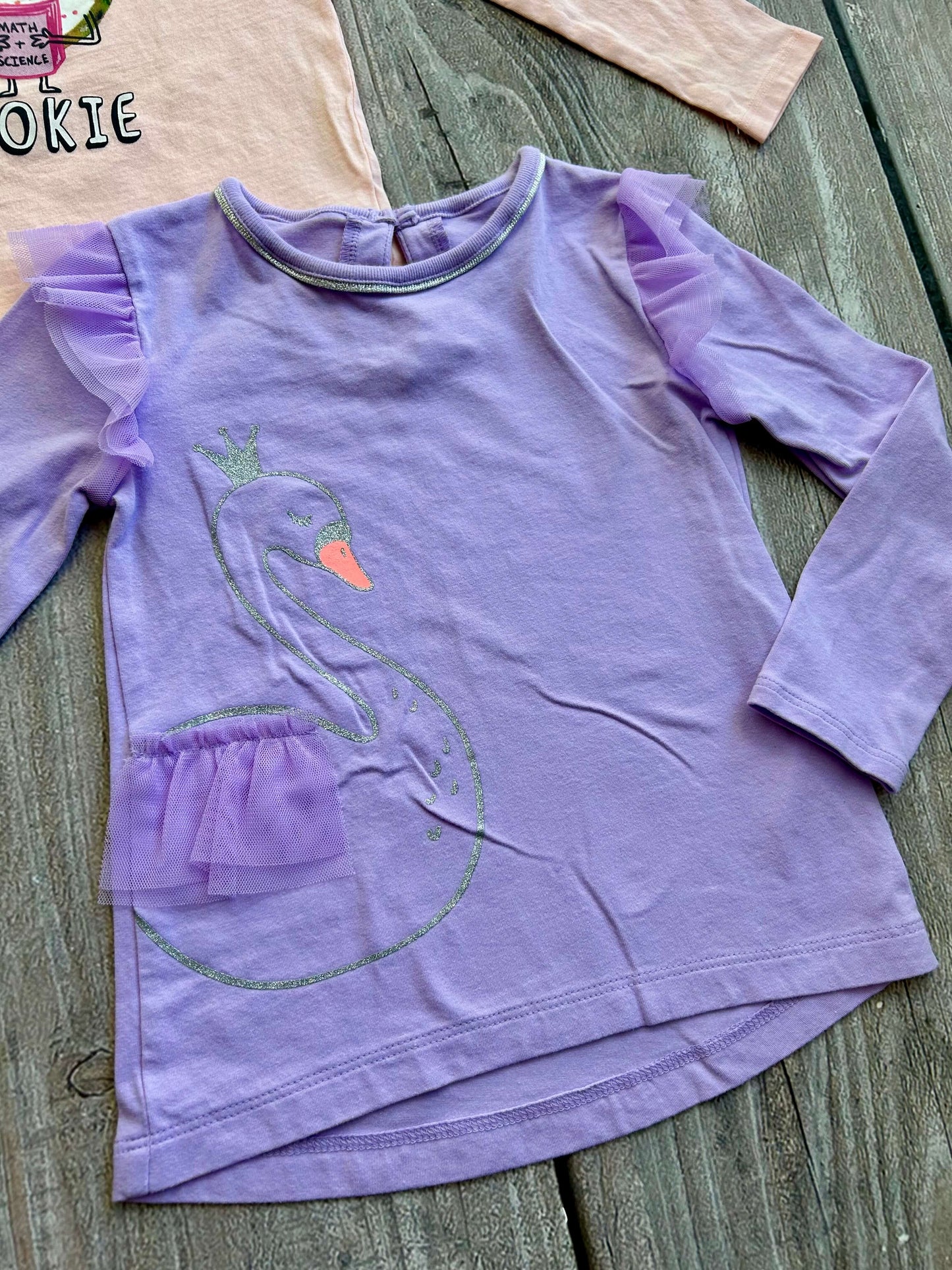 Osh Kosh Carter’s size 3T girls bundle of 3 tops, Paris, smart cookie, swan, Kids 3T
