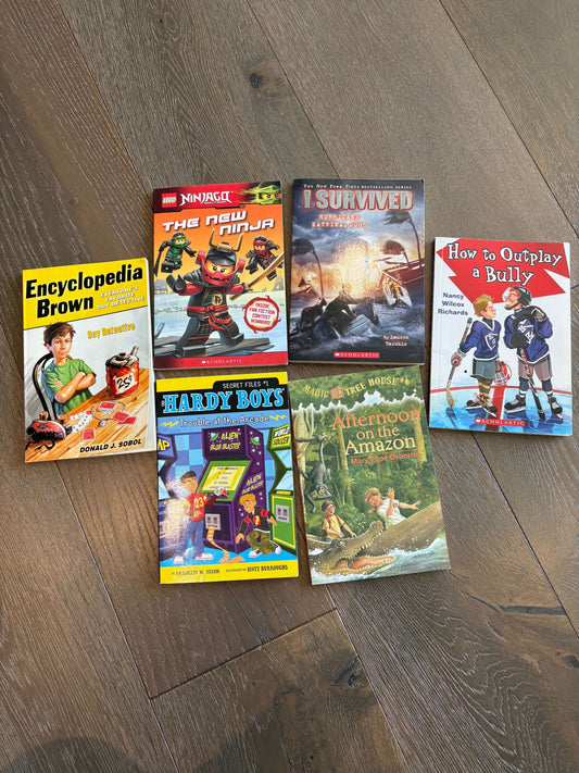 Various Titles - package of 6 books - Grades 3-6