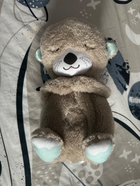 Fisher Price Soothe n Snuggle Otter