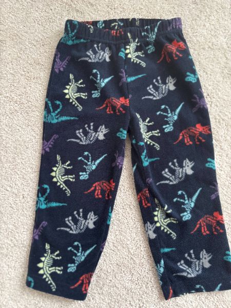 Fleece Dinosaur Pants, 2T, George, Kids 2T