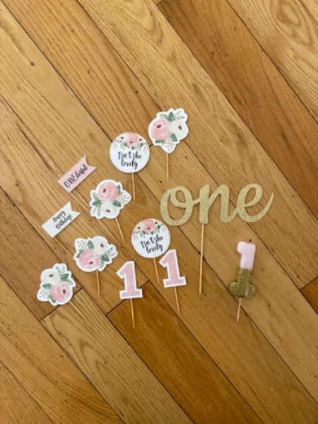 First Birthday Party Decorations (Girl)