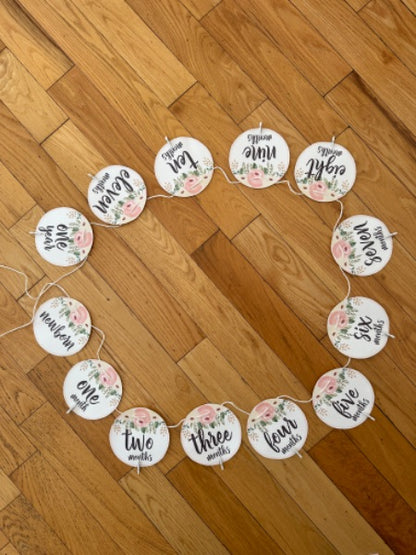 First Birthday Party Decorations (Girl)