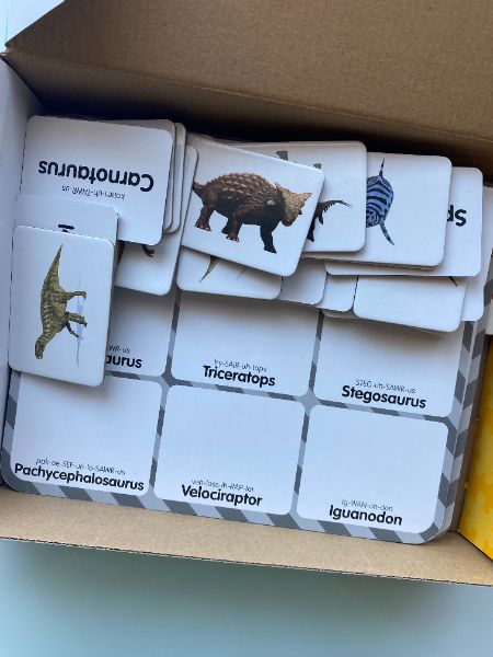 Dinosaur Bingo and Fold-out Dinosaur Book