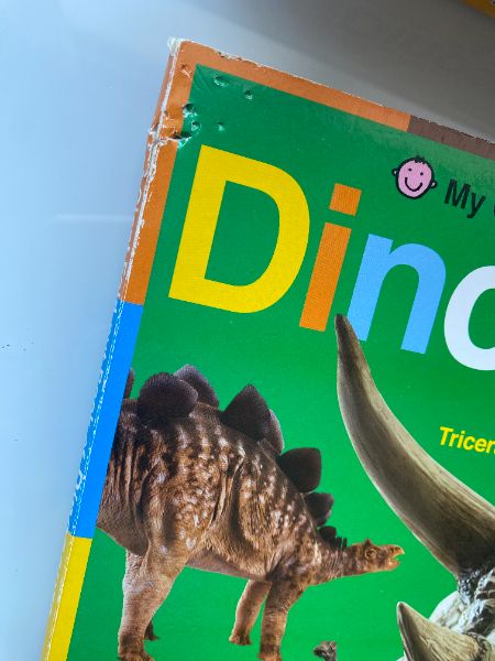 Dinosaur Bingo and Fold-out Dinosaur Book