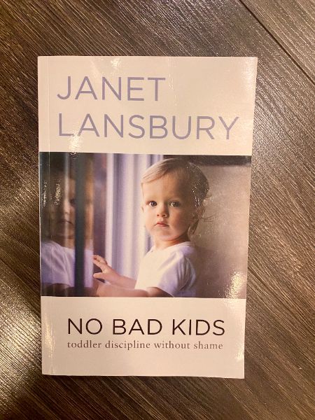 No Bad Kids - Janet Lansbury book