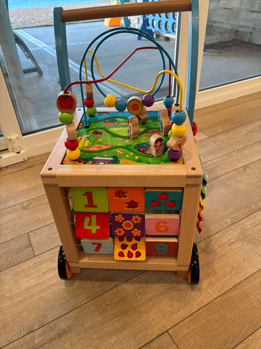 Wondertoys Wooden Activity Cube Walker