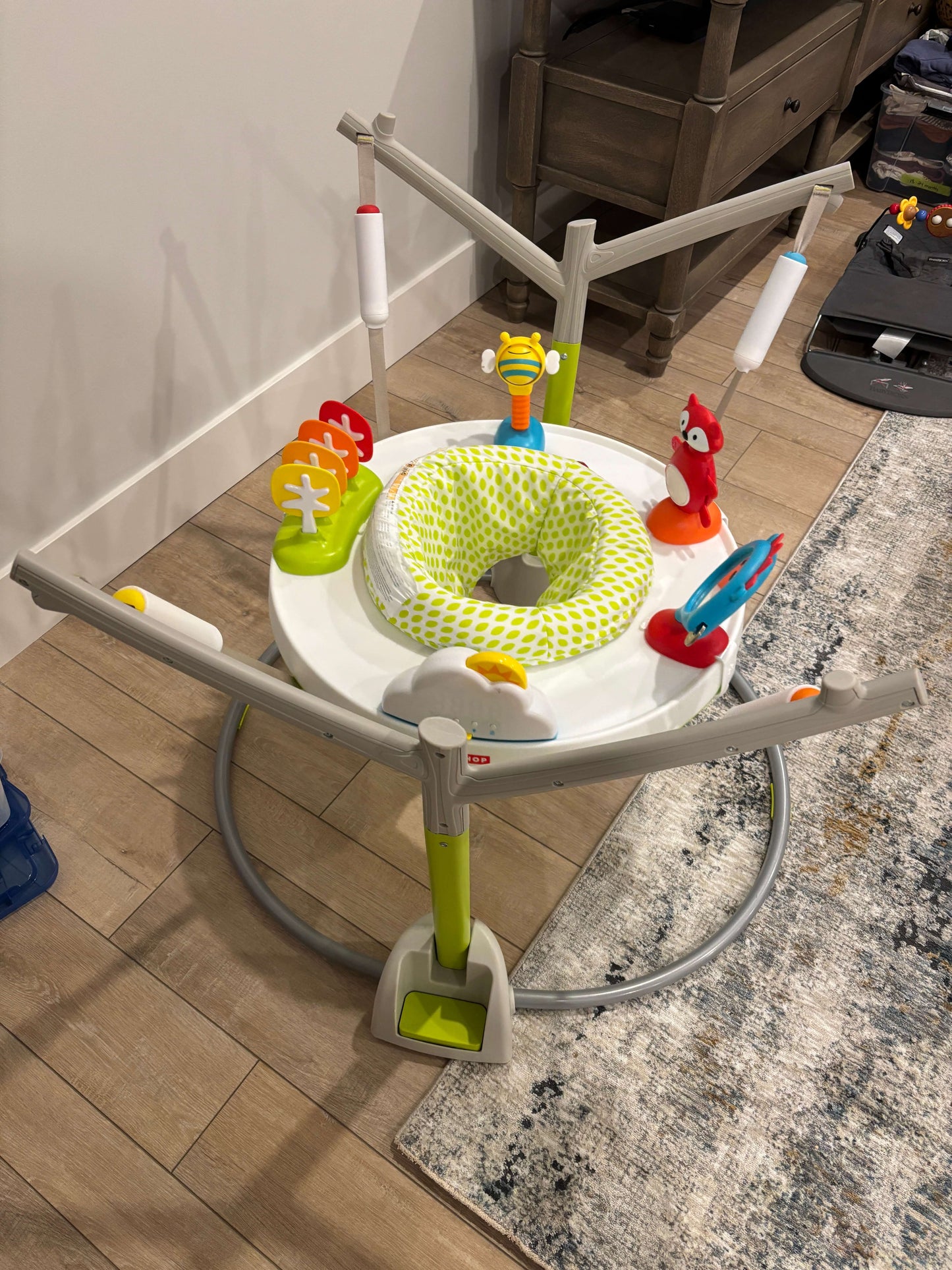 Skip Hop Activity Center
