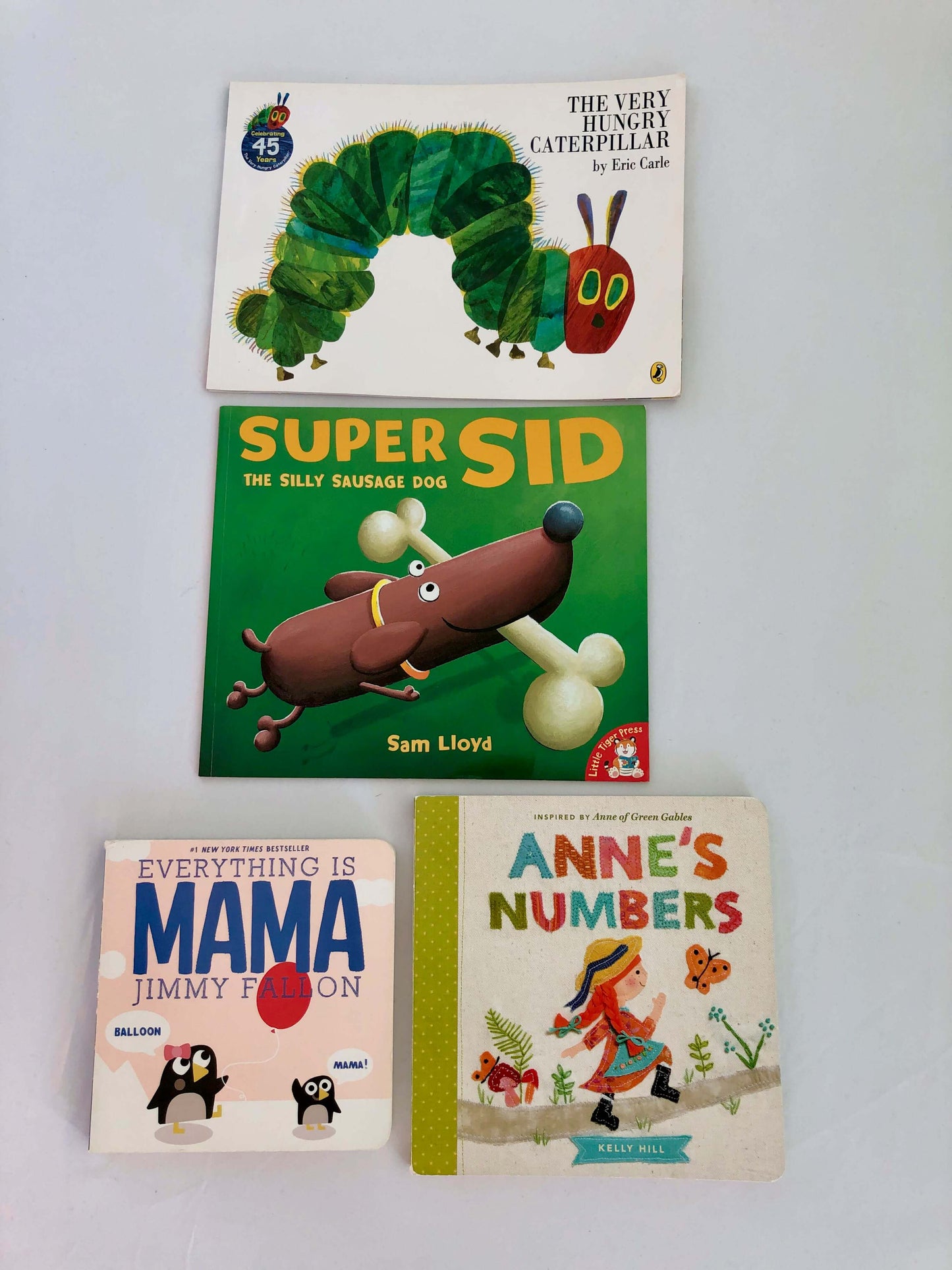 Book Bundle - 2 Board + 2 Soft Cover