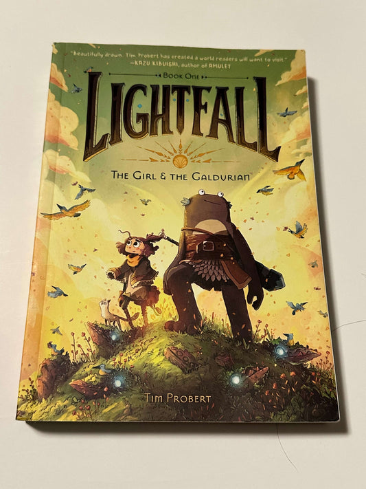 Young readers chapter book