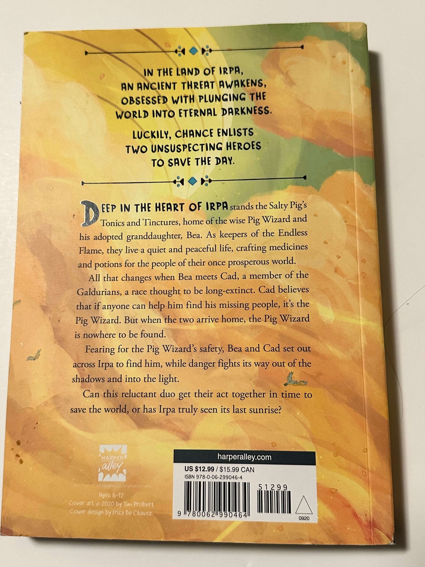 Young readers chapter book