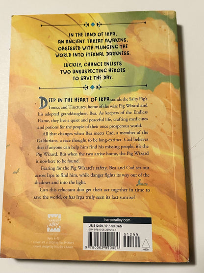 Young readers chapter book