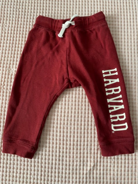 Harvard Sweat Suit