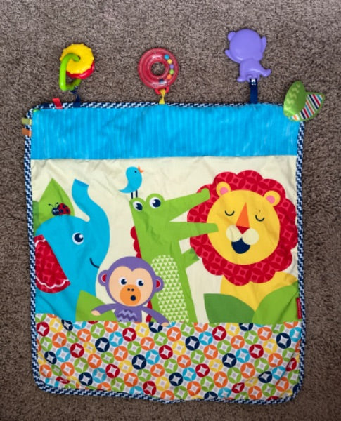 Infant Activity Throw