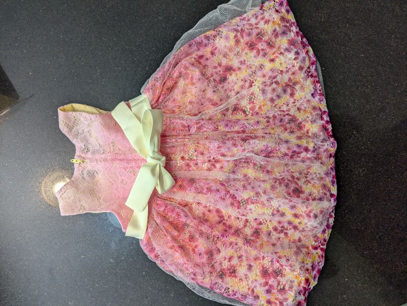Iris and Ivy Pink Lacy Floral Dress - 18M, Kids 18 Month (12-18M)