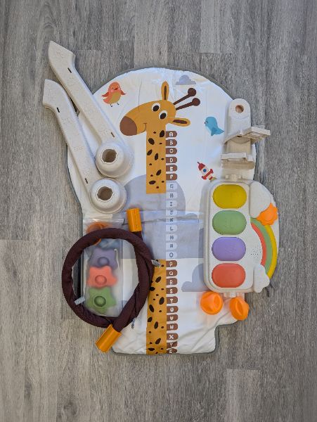 Giraffe Baby Activity Mat, MSRP: $65