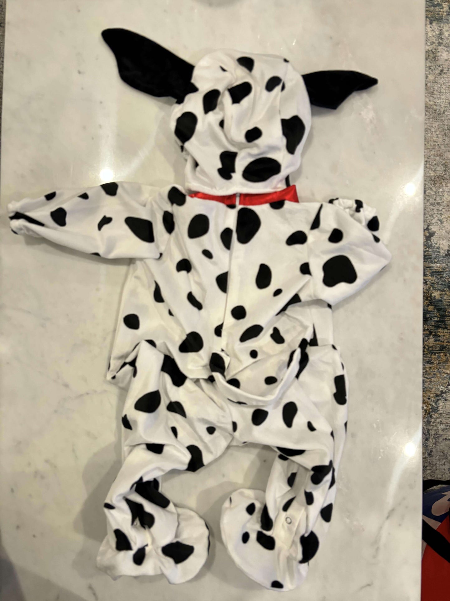 Halloween Costume, Kids 18 Month (12-18M)