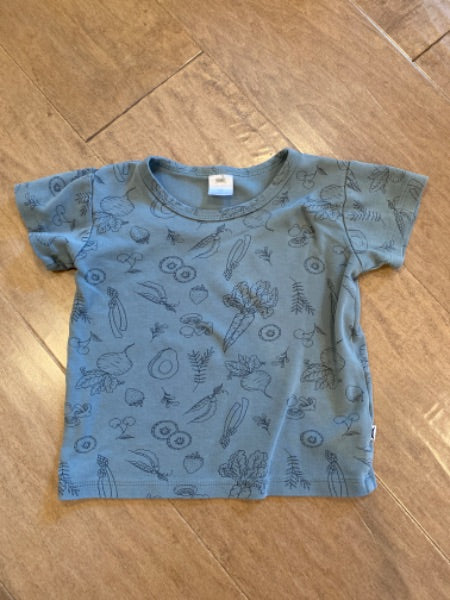Little & Lively “vegetable” teal shirt size 1/2, Kids 2T