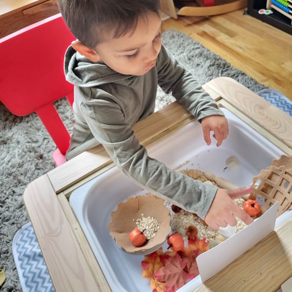 Pumpkin Pie Sensory Box Kit (1)